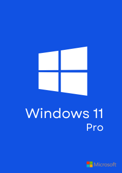 Windows 11 Pro